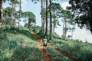 BIB: 
                            <button type="button" onclick="openModal(25677577)" class="btn btn-primary btn-sm float-right btn-popup" data-toggle="modal" data-target=".modal-high-quality">
                        <i class="fas fa-shopping-cart"></i> Add to Cart
                    </button>
                                            <button type="button" onclick="isThisMe(25677577, true)" class="btn btn-success btn-sm float-right btn-popup btn-isme hidden" data-toggle="tooltip" data-placement="bottom" title="นี่คือรูปของคุณใช่ไหม คลิกที่นี่เพื่อเอาเข้าอัลบั้ม">
                        <i class="fas fa-plus"></i> Add to album
                    </button>
                    <button type="button" onclick="isThisMe(25677577, false)" class="btn btn-warning btn-sm float-right btn-popup btn-isnotme hidden">
                        <i class="fas fa-ban"></i> Remove from album
                    </button>